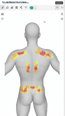 Saving a pain map in TellMeWhereItHurtsNow